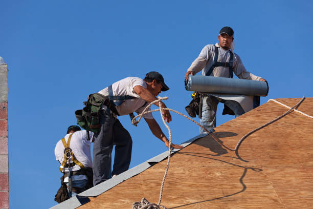 Roof Gutter Cleaning in Odessa, MO